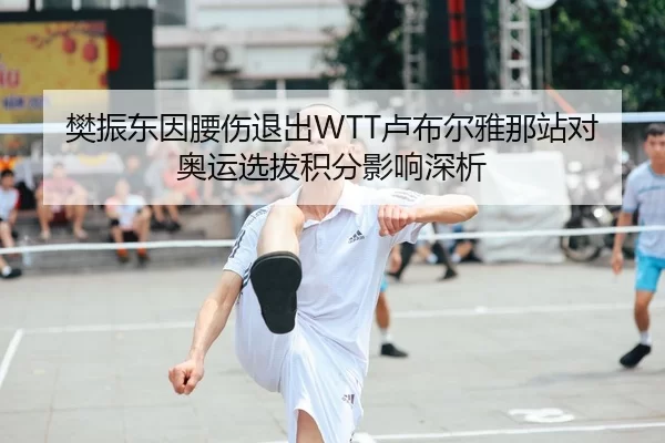樊振东因腰伤退出WTT卢布尔雅那站对奥运选拔积分影响深析