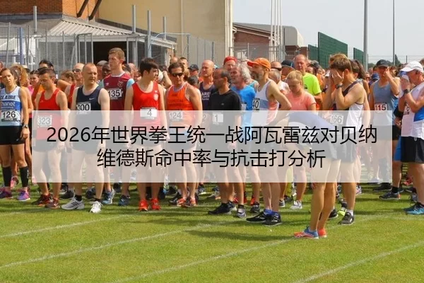 2026年世界拳王统一战阿瓦雷兹对贝纳维德斯命中率与抗击打分析