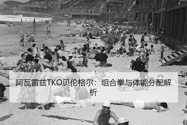 a-wa-lei-zi-bei-lun-ge-er-zu-he-quan-yu-ti-neng-fen-pei-jie-xi-2-708.jpg