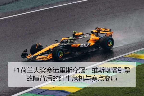 he-lan-da-jiang-sai-nuo-li-si-duo-guan-wei-si-ta-pan-yin-qing-gu-zhang-bei-hou-de-hong-niu-wei-ji-yu-sai-dian-bian-ju-2-966.jpg