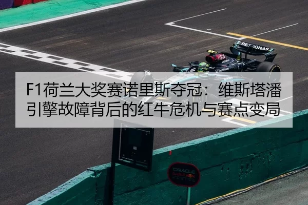 he-lan-da-jiang-sai-nuo-li-si-duo-guan-wei-si-ta-pan-yin-qing-gu-zhang-bei-hou-de-hong-niu-wei-ji-yu-sai-dian-bian-ju-3-684.jpg